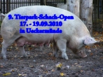 9. Tierpark-Schach-Open ...