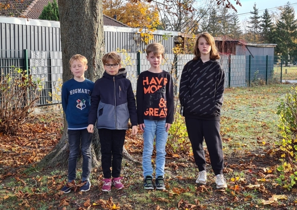 Jugendliga (LVM u16) ~ 2. Mannschaft des SAV Torgelow (Jugendliga Staffel Ost), Saison 2023-24