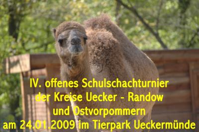 IV. Tierpark-Turnier für Schulen