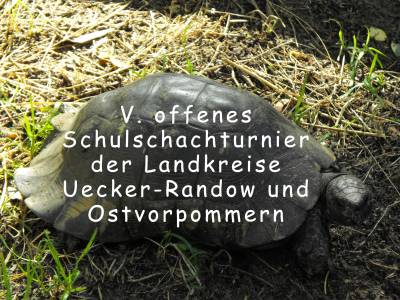 V. Tierpark-Turnier für Schulen