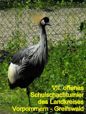 VII. Tierpark-Turnier für Schulen