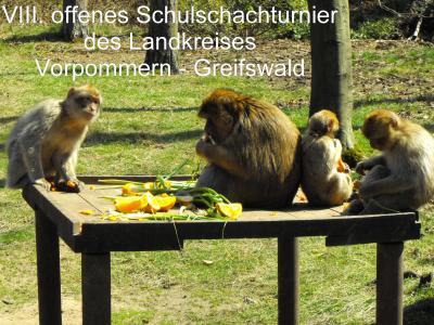 VIII. Tierpark-Turnier für Schulen